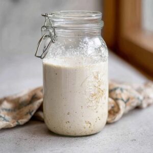 Sourdough Starter (Wild Yeast, Flour + Water, From Scratch, 7 Day Build)
